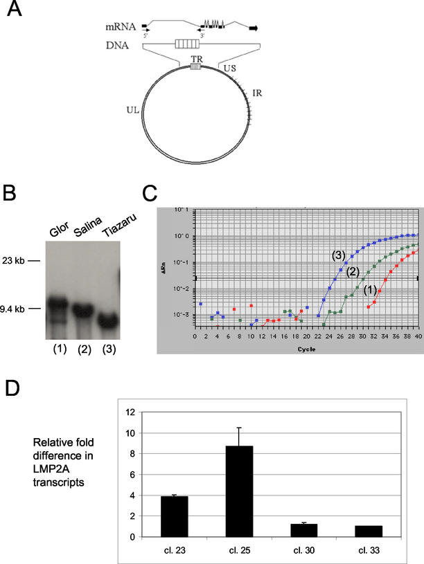 FIG. 3.