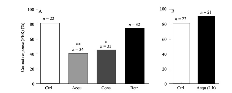 A: Cold narcosis was administrated 30 min before training (Acqu), immediately after training (Cons) or 30 min before testing (Retr); B: Cold narcosis was administrated 1 h before training (Acqu 1h); Control honeybees received no cold treatment; Numbers of honeybees tested in each group are shown above the bars. : <italic>P</italic>&lt;0.05; <sup>**</sup>: <italic>P</italic>&lt;0.01.