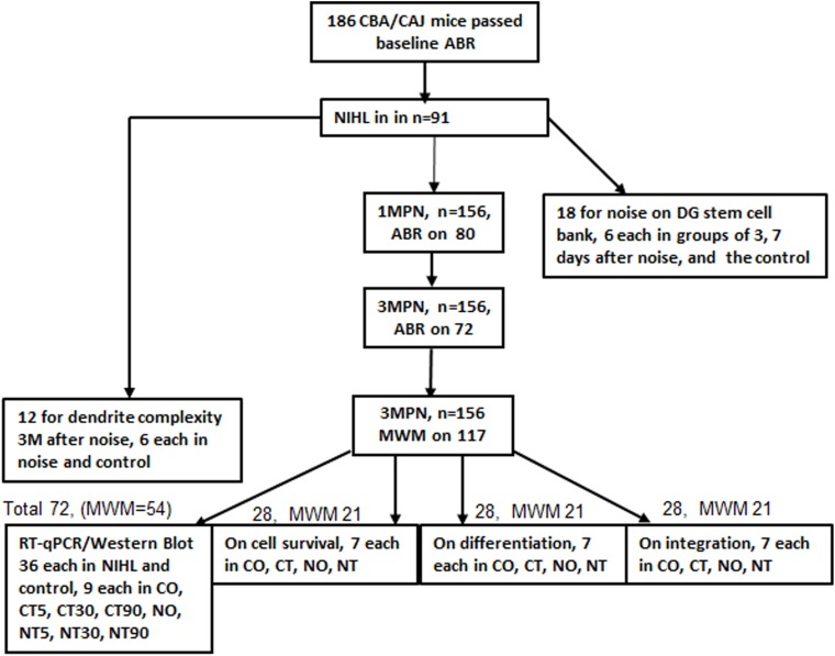 FIGURE 1