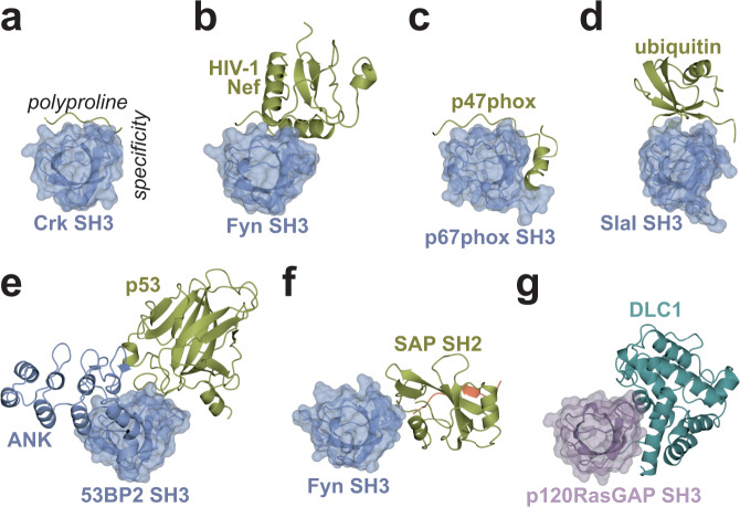 Fig. 7