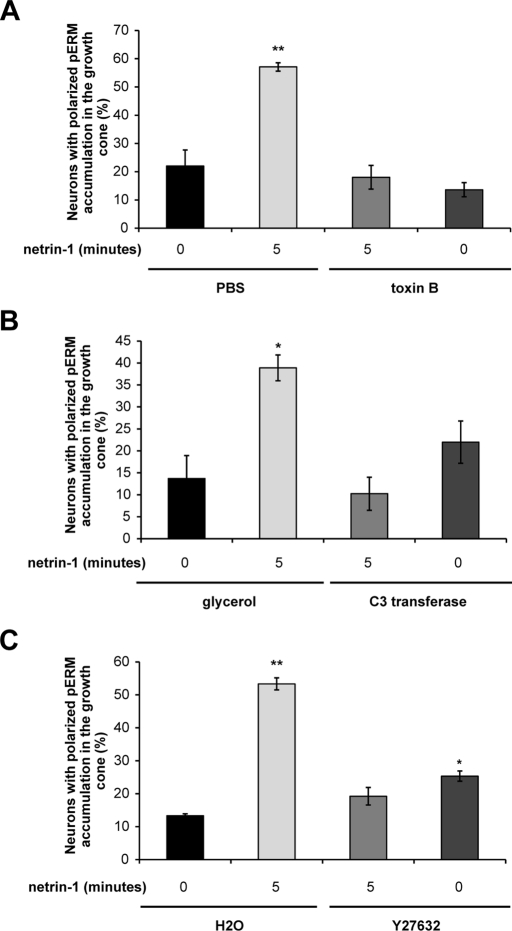 FIGURE 6: