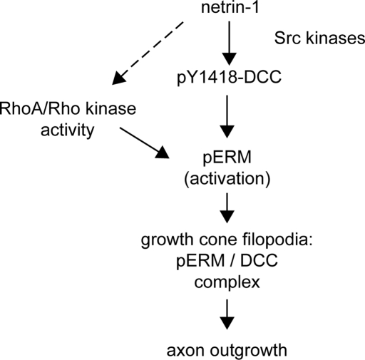 FIGURE 9: