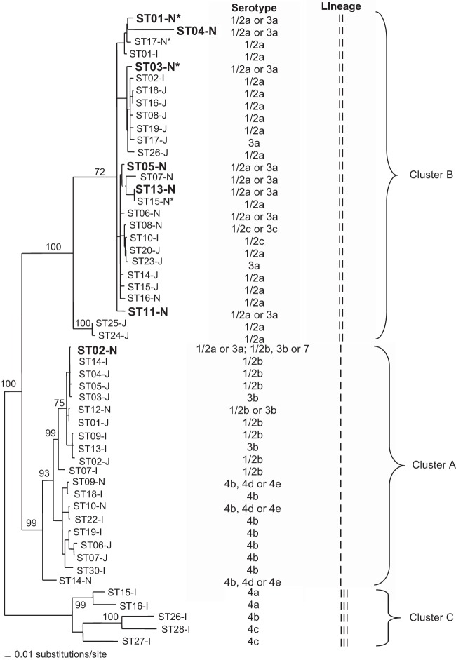 FIG 1