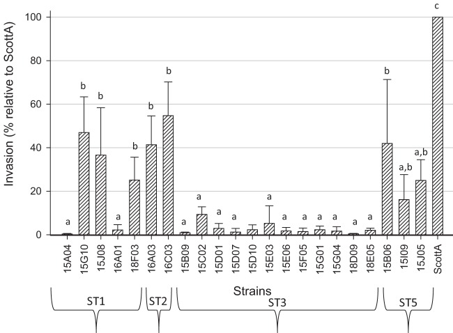 FIG 2