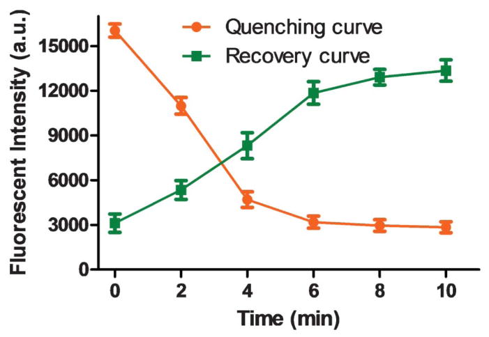 Fig. 4