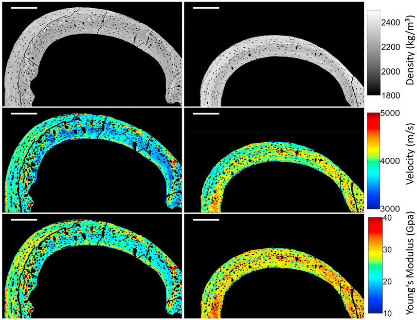 Fig. 5.