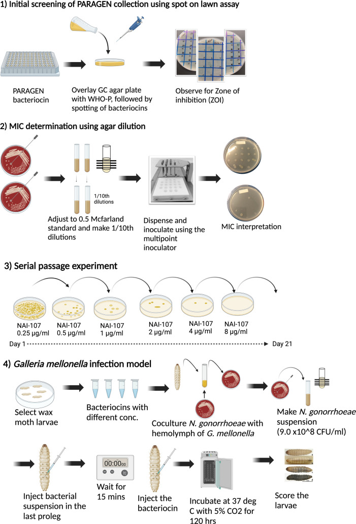 Fig 1