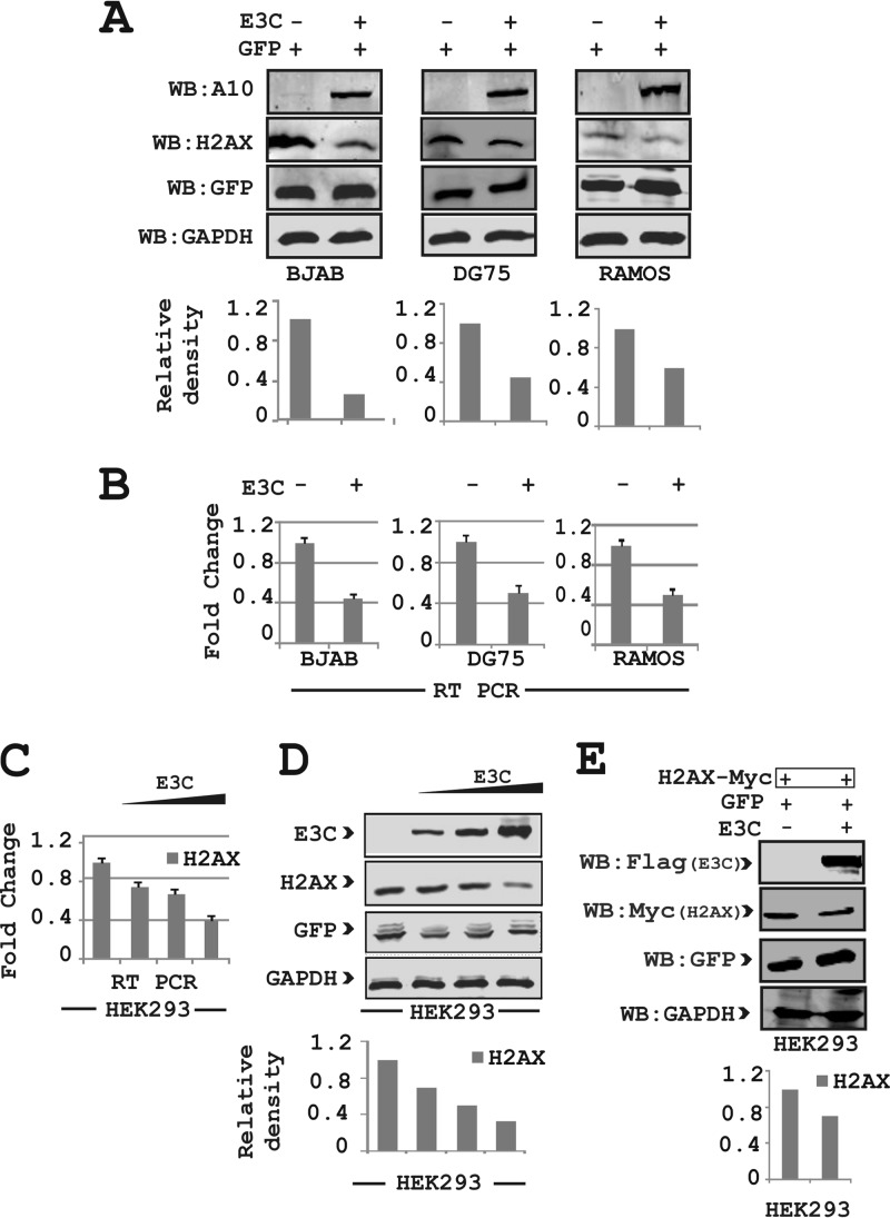 FIG 2