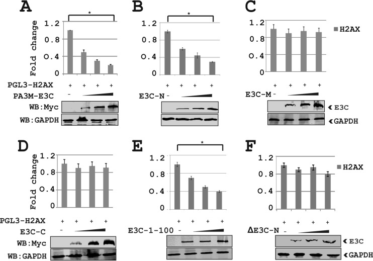 FIG 6