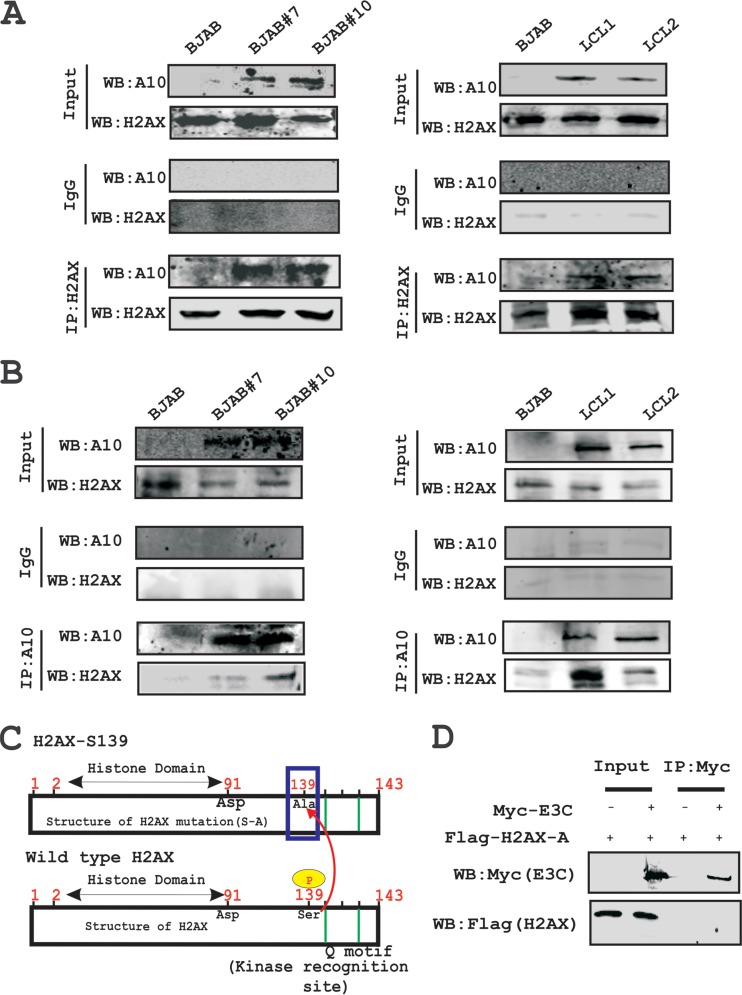 FIG 3