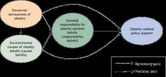 Perceived seriousness of obesity is predicted to influence beliefs about environmental causes of obesity (causal beliefs), which in turn predicts beliefs about societal responsibility for the solution to obesity (responsibility beliefs), which in turn predicts support for obesity-related policies. Exploratory paths tested were whether perceived seriousness of obesity is related to beliefs about societal responsibility for the solution to obesity, whether perceived seriousness is related to support for obesity-related policies, and whether environmental causes of obesity are related to support for obesity-related policies.