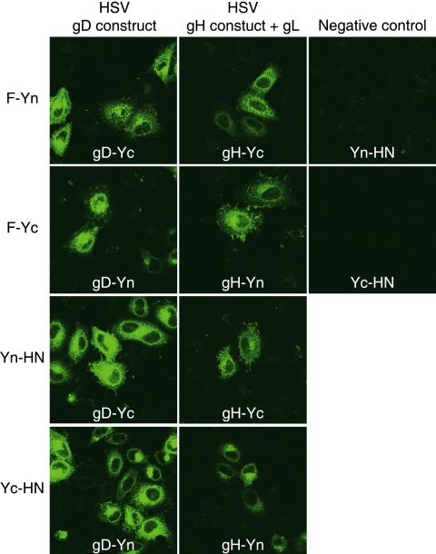 FIG. 3.