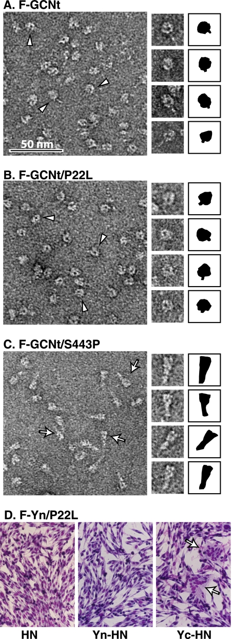 FIG. 9.