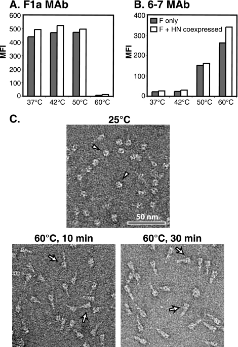 FIG. 7.