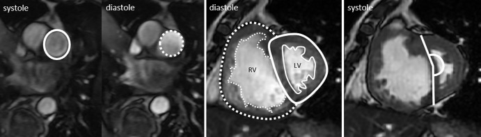 Figure 2: