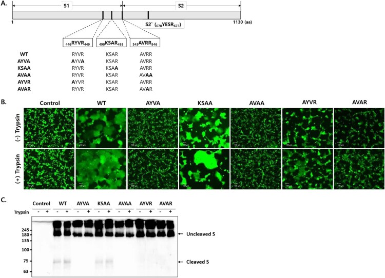 Figure 3.