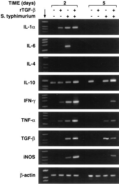 FIG. 5