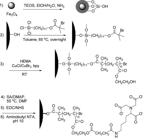 Scheme 1