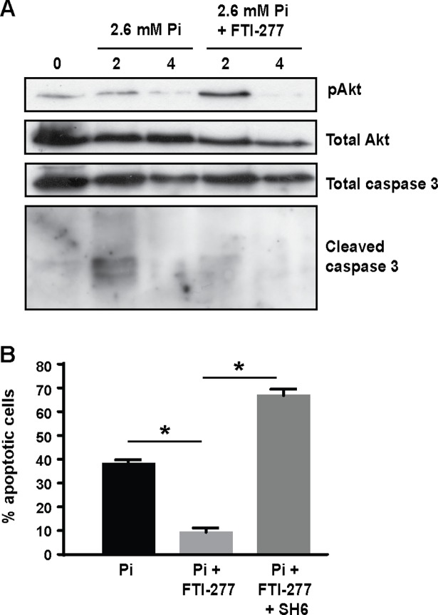 Fig 5