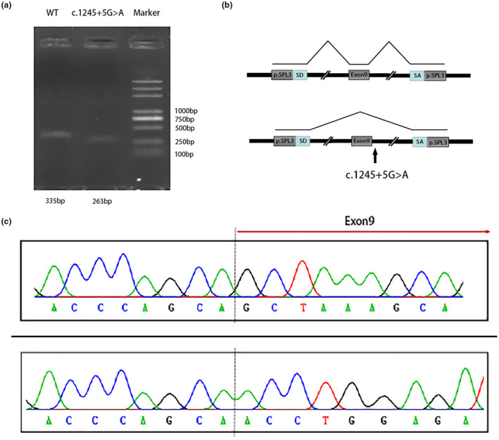 FIGURE 3