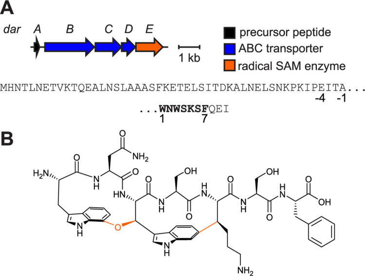 Figure 1: