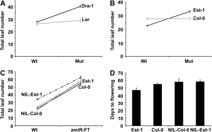 Figure 4.—