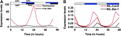 Figure 5.—