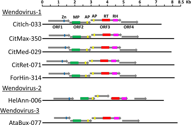 Figure 3