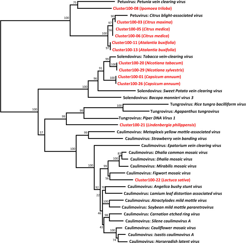 Figure 2