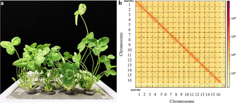 Fig. 1