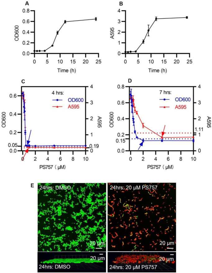 Fig. 2.