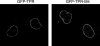 FIG. 11.