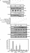FIG. 7.