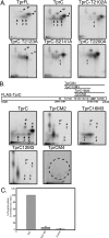 FIG. 4.