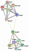FIGURE 3