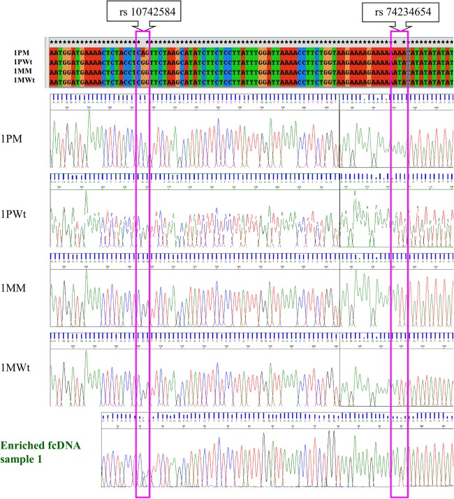 Figure 2