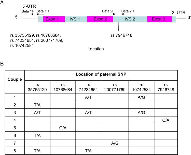 Figure 1