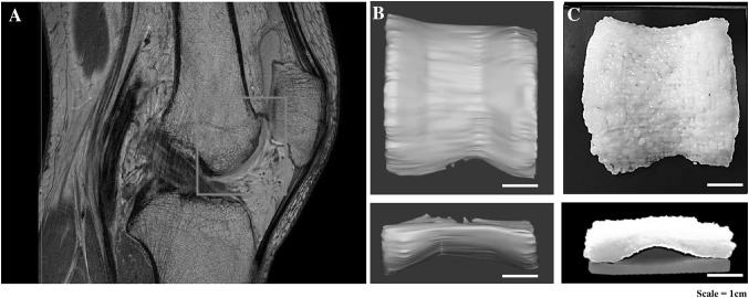 Fig. 6