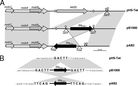 FIG. 2.