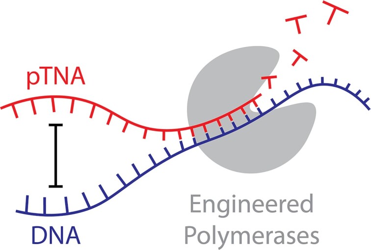 Graphical Abstract