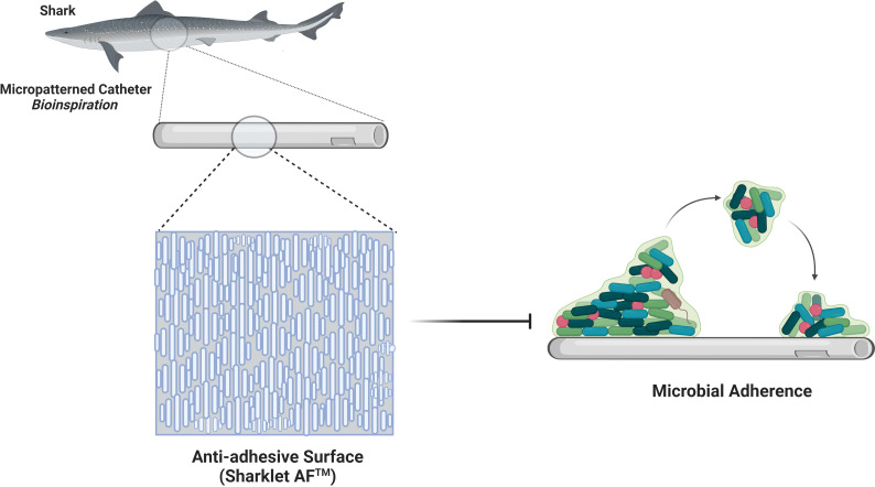 Figure 3