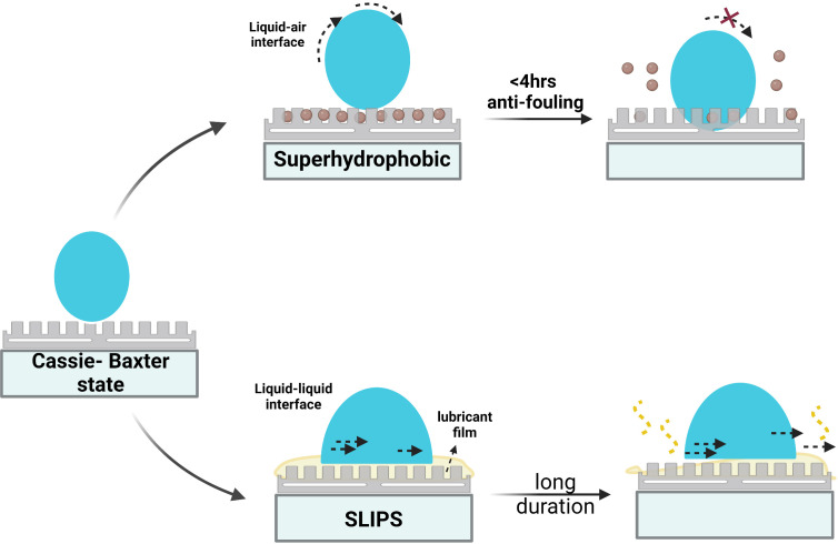 Figure 6