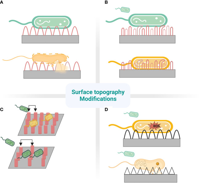Figure 2