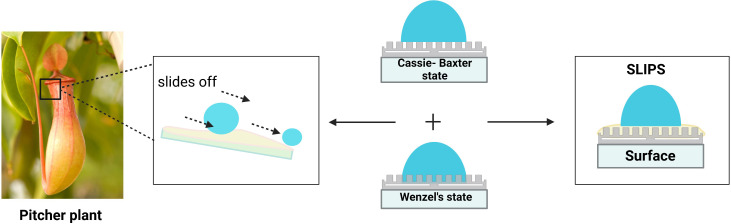 Figure 5