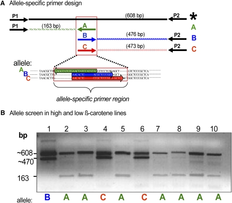 Figure 7.