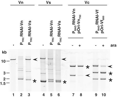 Figure 5.