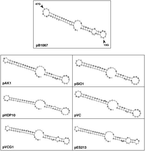 Figure 6.