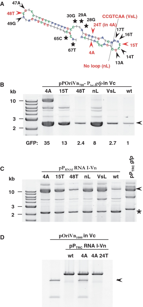 Figure 7.