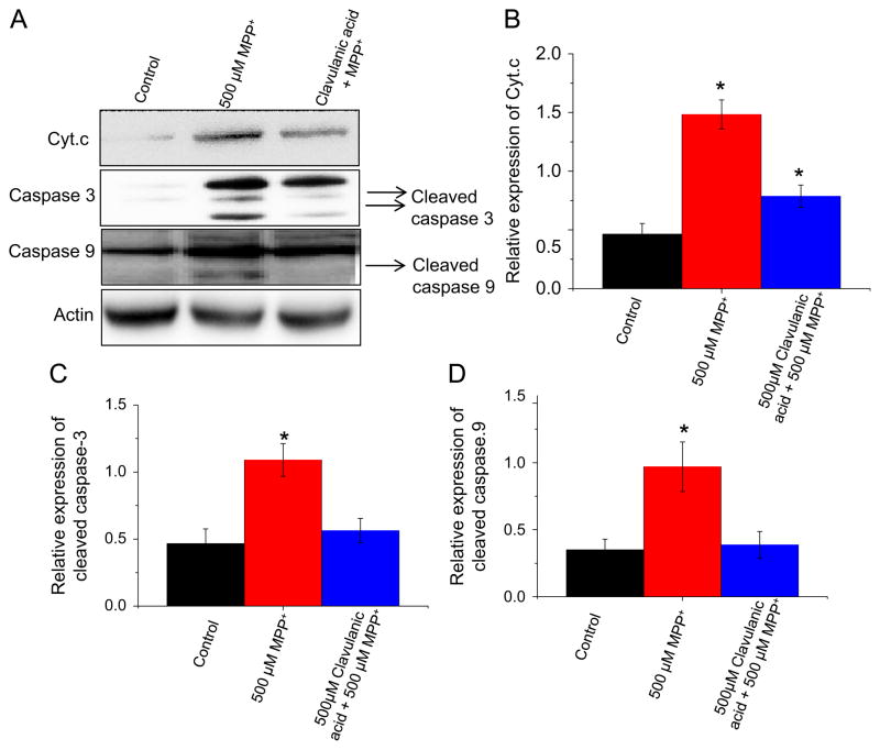 Fig. 4