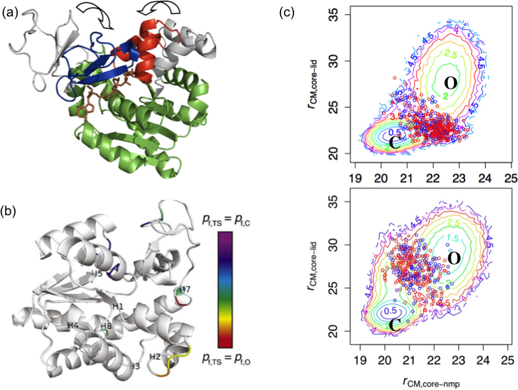 Figure 4)